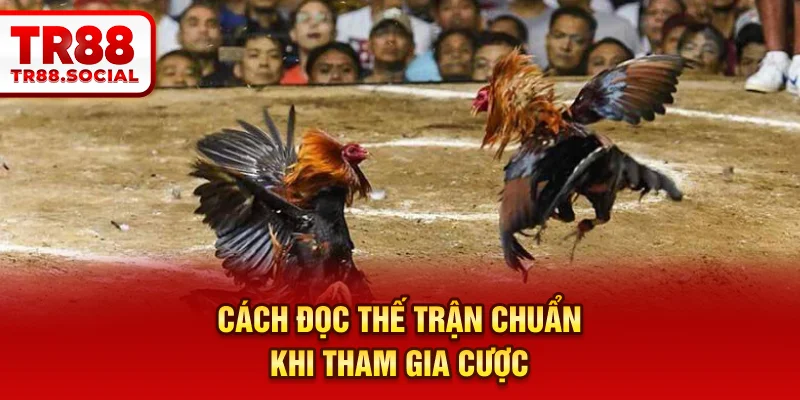 Cách đọc thế trận chuẩn khi tham gia cược