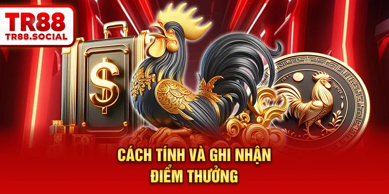 Cách tính và ghi nhận điểm thưởng