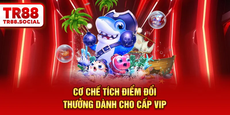 Cơ chế tích điểm đổi thưởng dành cho cấp VIP